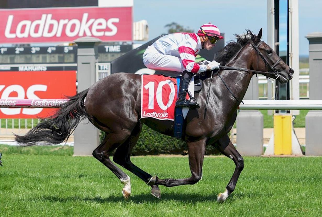 O'BRIEN UNEARTHS ANOTHER NICE FILLY